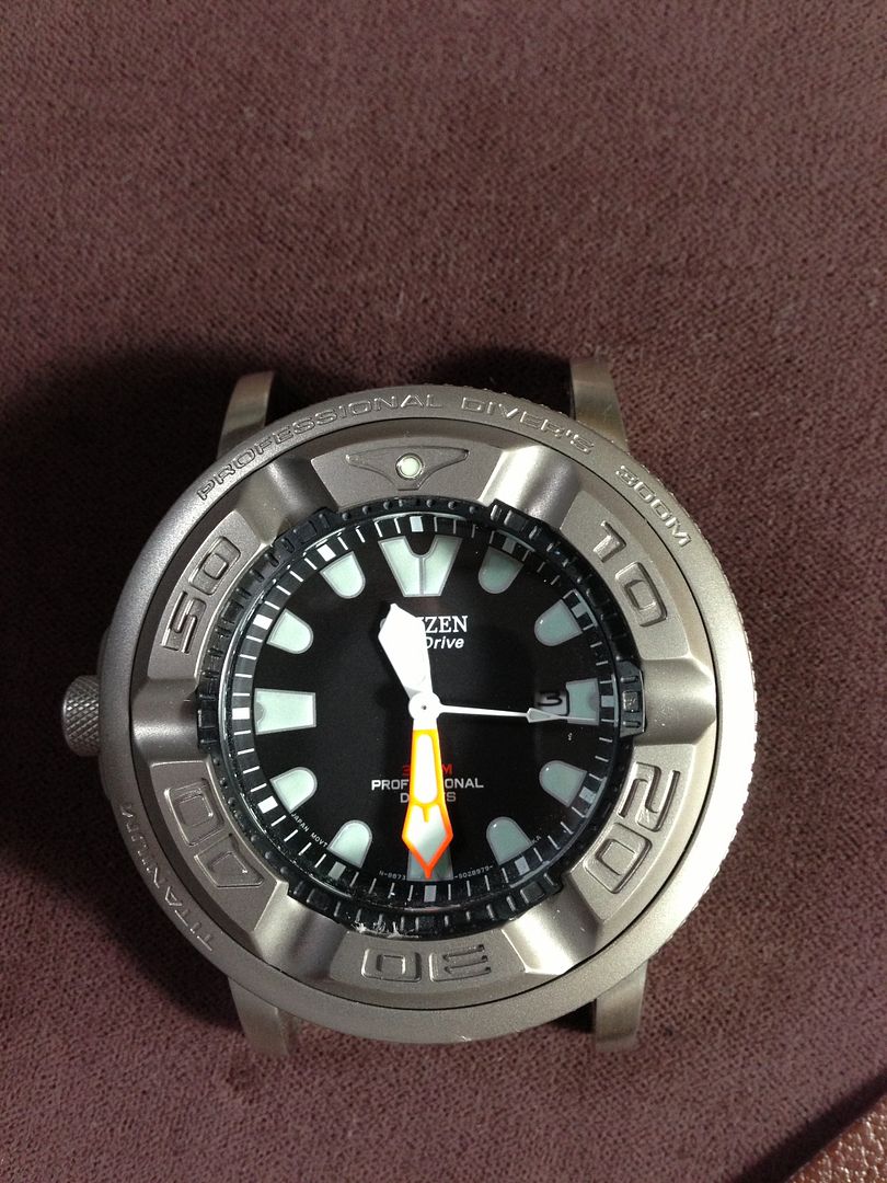 citizen ecozilla titanium for sale