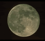 witch1.gif