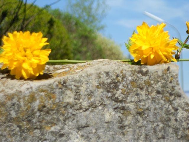 DSCN0434.jpg