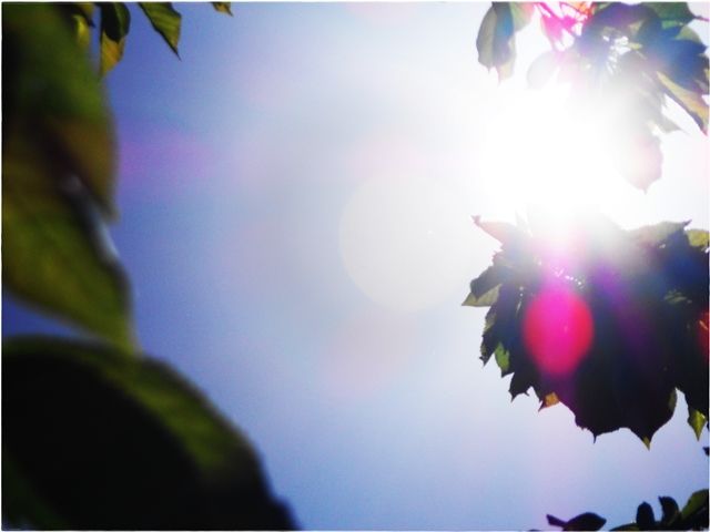 DSCN0437.jpg
