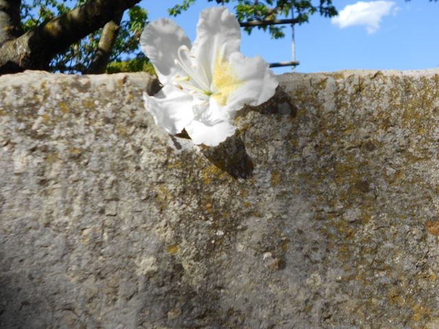 DSCN0447.jpg