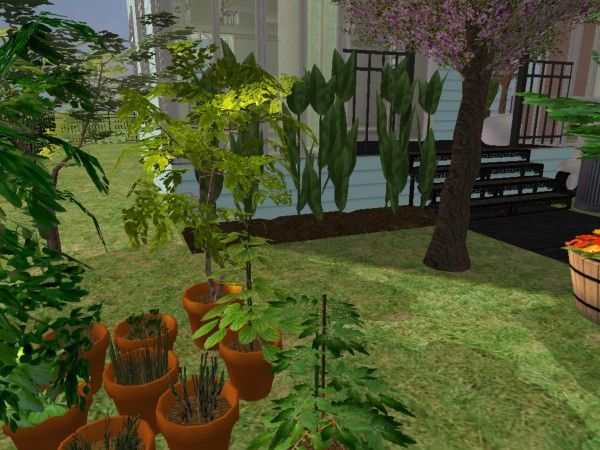 snapshot_00000022_3cd7c62c.jpg