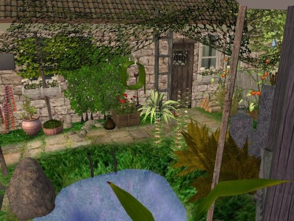 snapshot_00000022_dcb999ef.jpg