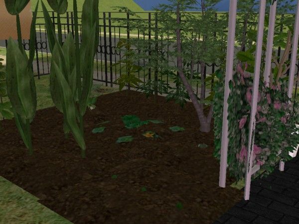 snapshot_00000022_dcd7c61e.jpg