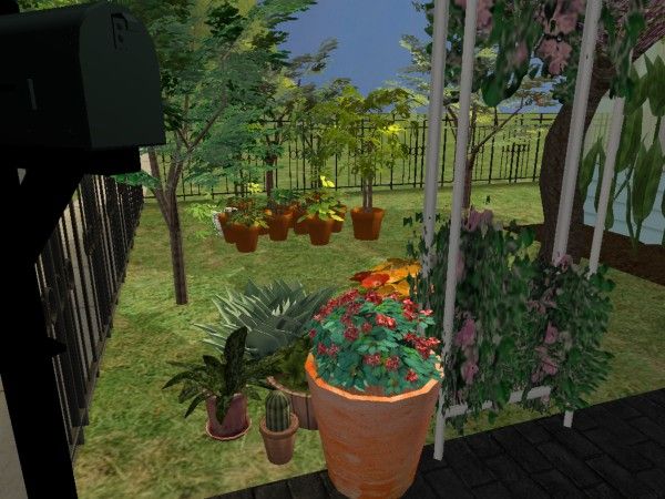 snapshot_00000022_fcd7c627.jpg