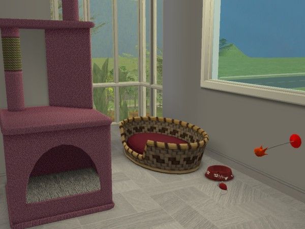 snapshot_00000022_fcd7c656.jpg