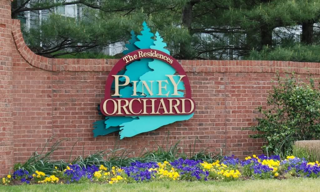 Piney Orchard
