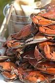 Maryland Crabs!