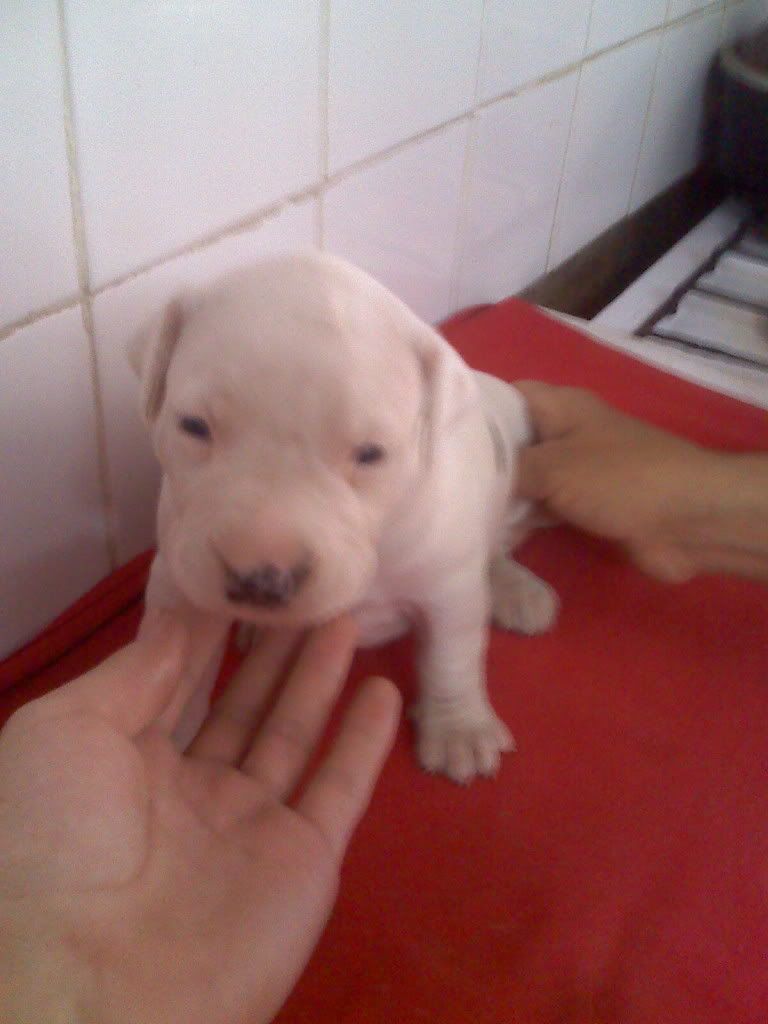con con