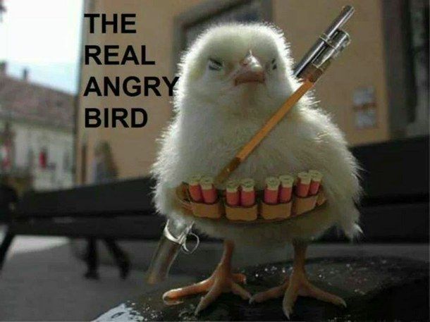 awesome-bucket-list-cool-dygirls-Favim_c