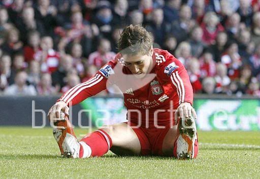 fernando torres bulge 