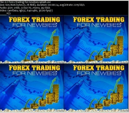 Professional forex traders wanted