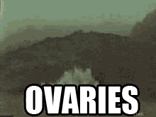 ovaries-explode.gif