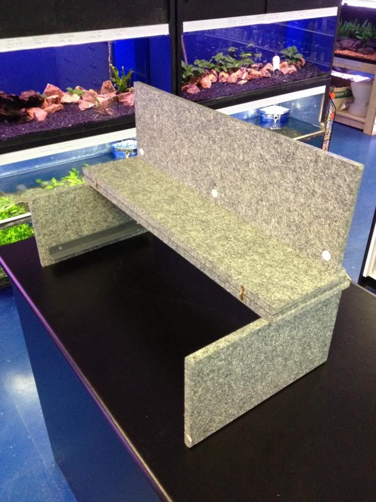 finatics aquarium store