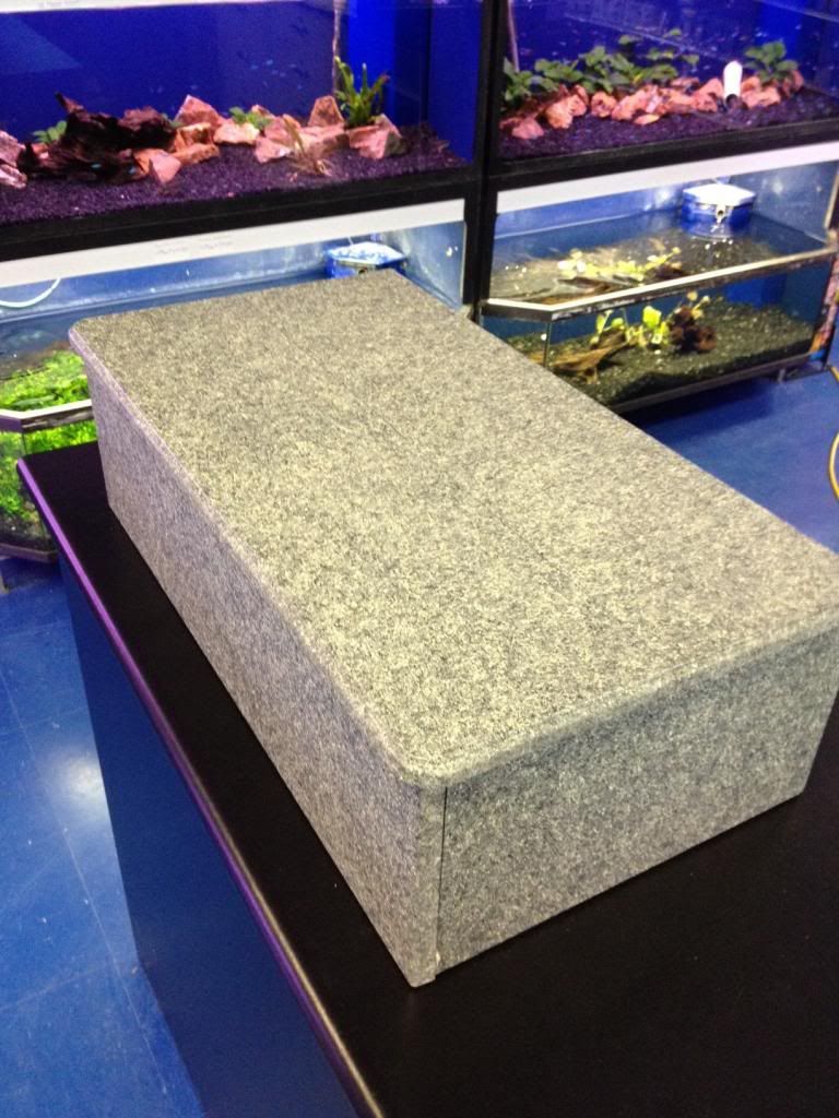 finatics aquarium store