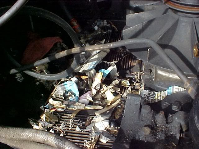 Mousenestinmycorvair1