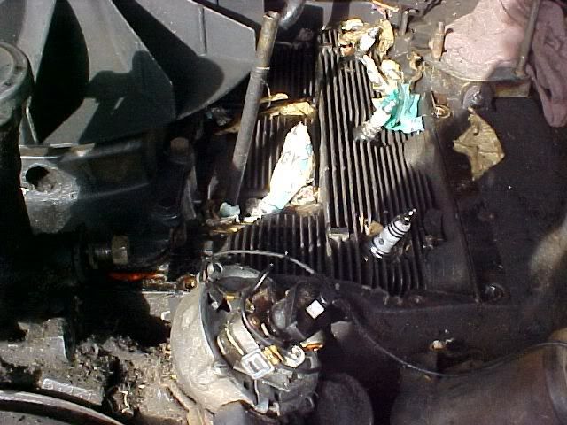Mousenestinmycorvair2