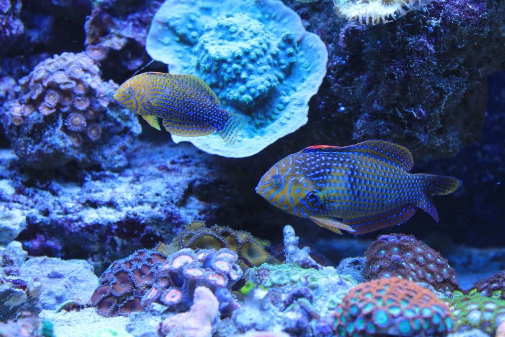IMG_4482.jpg