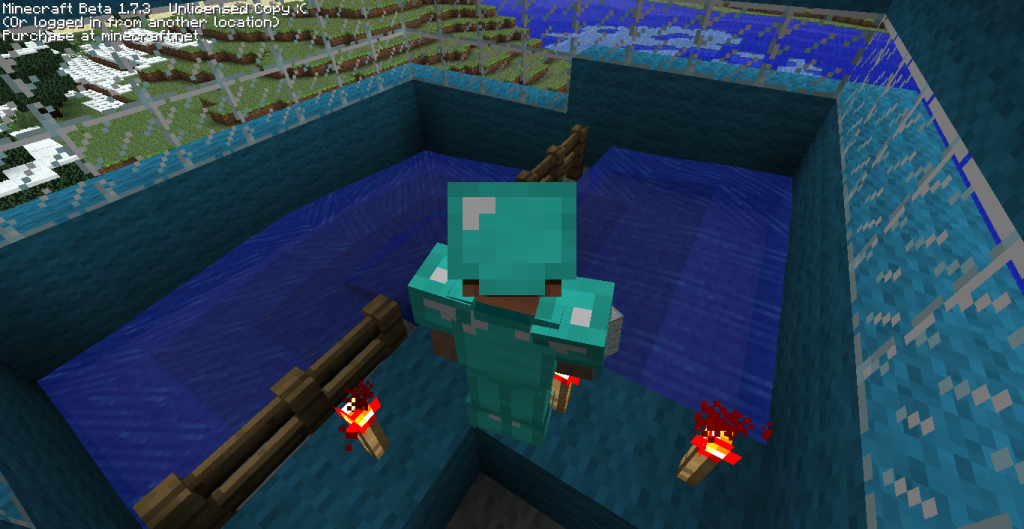 http://i1207.photobucket.com/albums/bb477/LeftyG97/Minecraft%20Pics/2011-09-24_143930.png