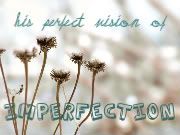 His Perfect Vision of Imperfection