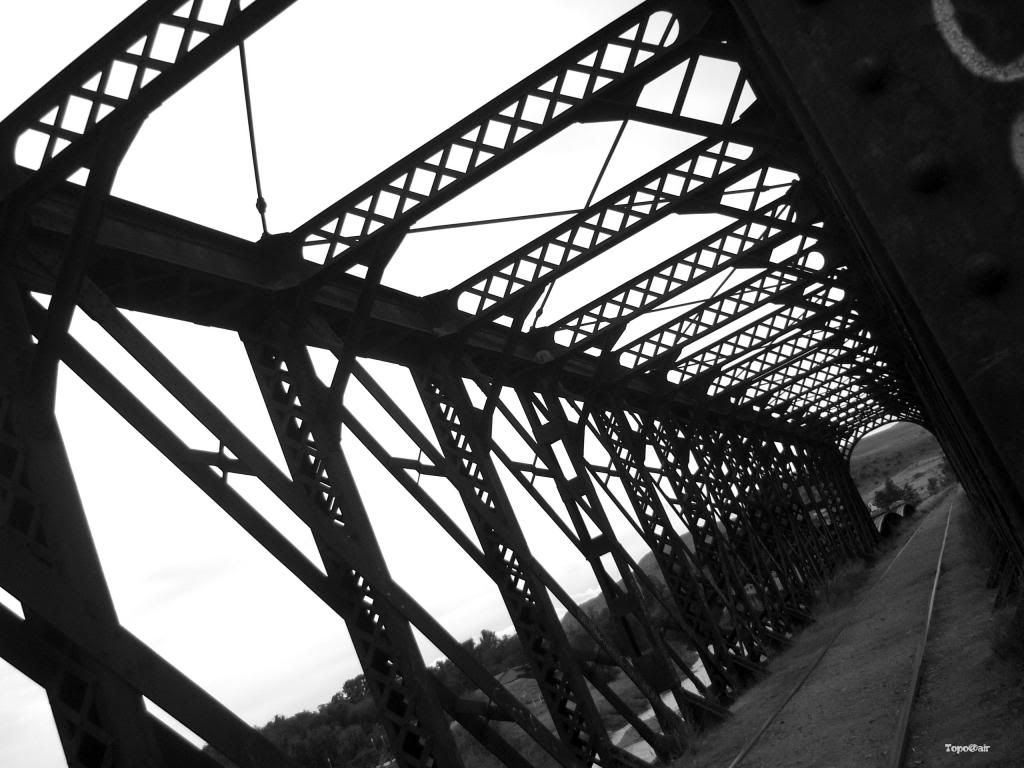 Fotografia en Blanco y negro Fotografia en Blanco y negro