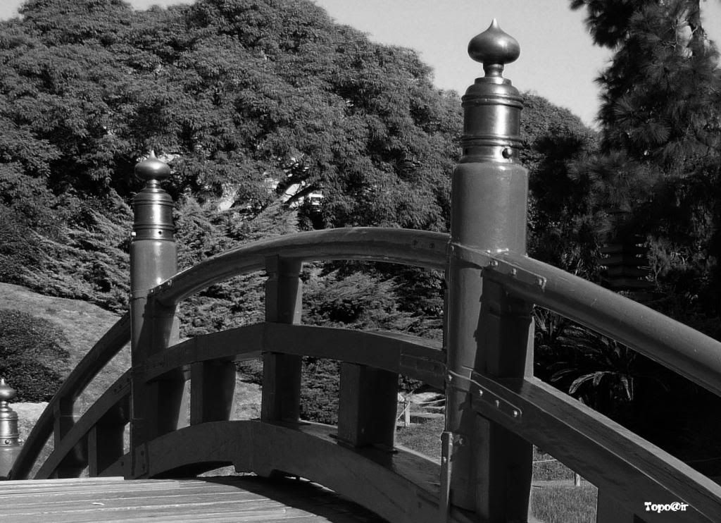 puente puente