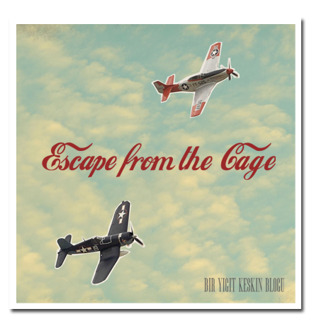 Escape From The Cage Facebook Sayfası