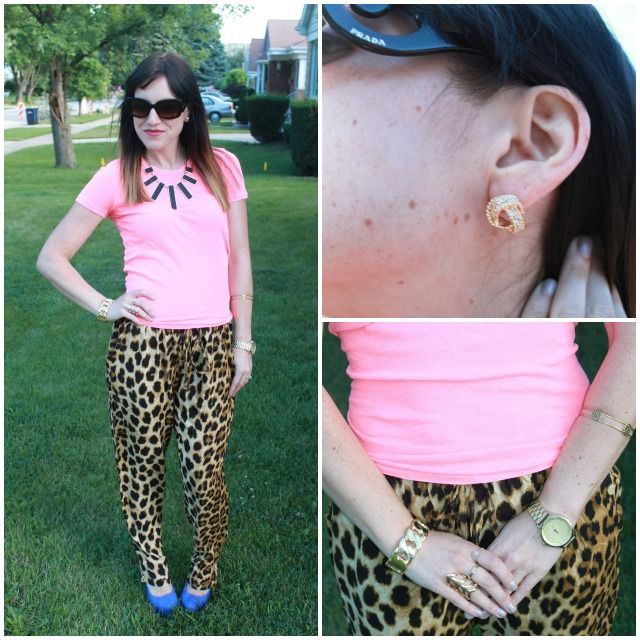  photo LeopardPrint_zps29b8c8ac.jpg