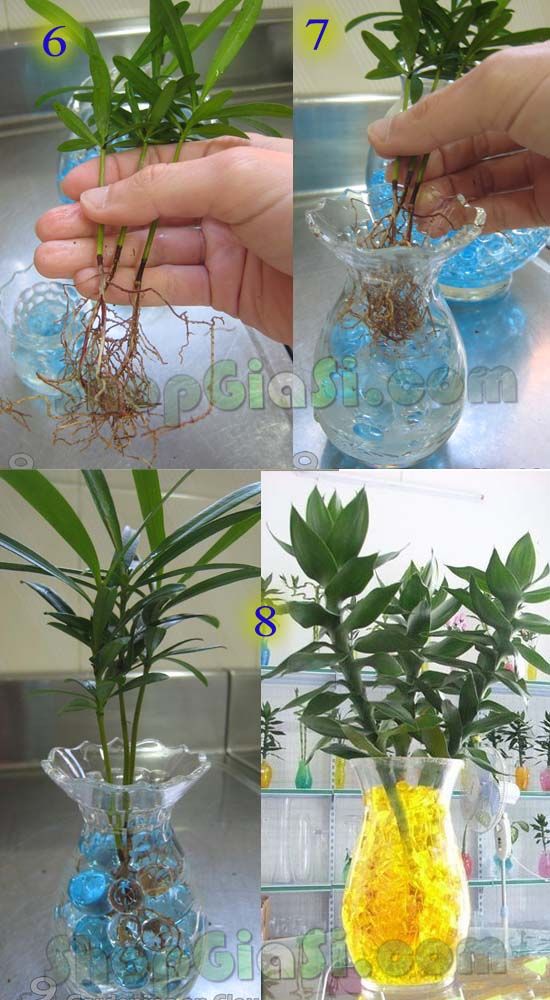 Đất tinh thể( hạt trân châu, đất sinh học) cắm hoa trồng cây ! Đất tinh thể( hạt trân châu, đất sinh học) cắm hoa trồng cây !