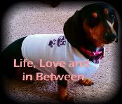 Life, Love and in Between