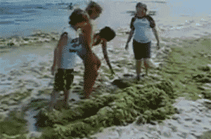 pedobear.gif