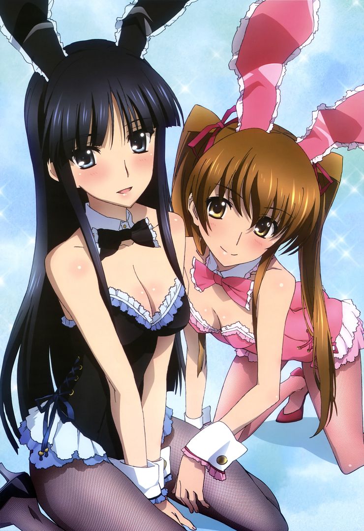 yandere274237animal_earsbunny_earsbunny_girlcleavagefishnetsmizukami_rondoogiso_setsunapantyhosetouma_kazusawhite_albumwhite_zps452e5bd8.jpg~original