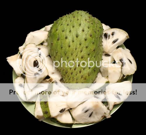 Rare SOURSOP Seeds *Organic*Heirloom* FreshPure Hawaiian Rainforest