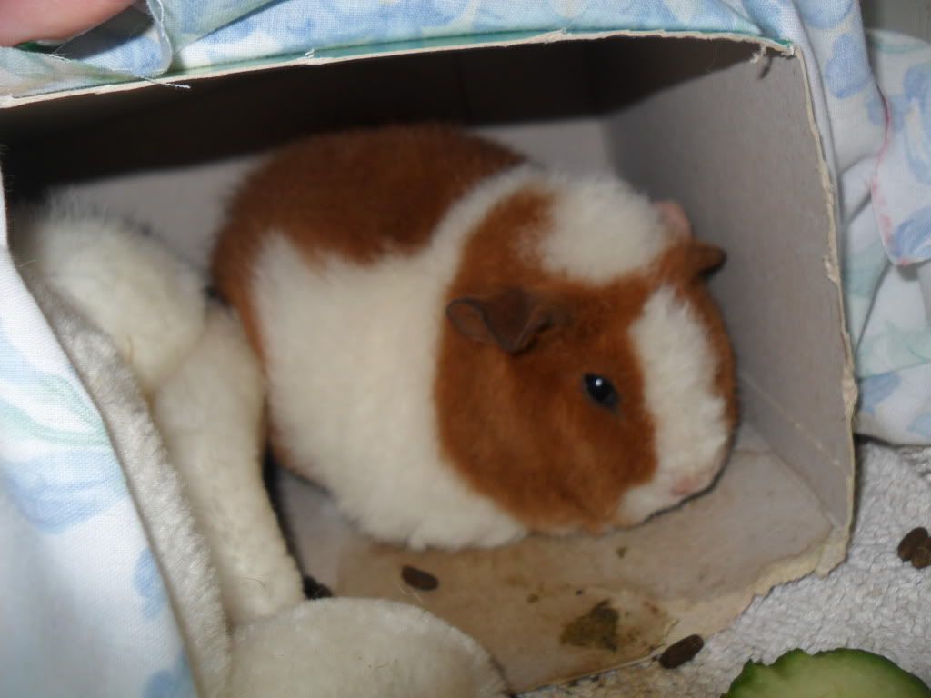 SAM_0036.jpg