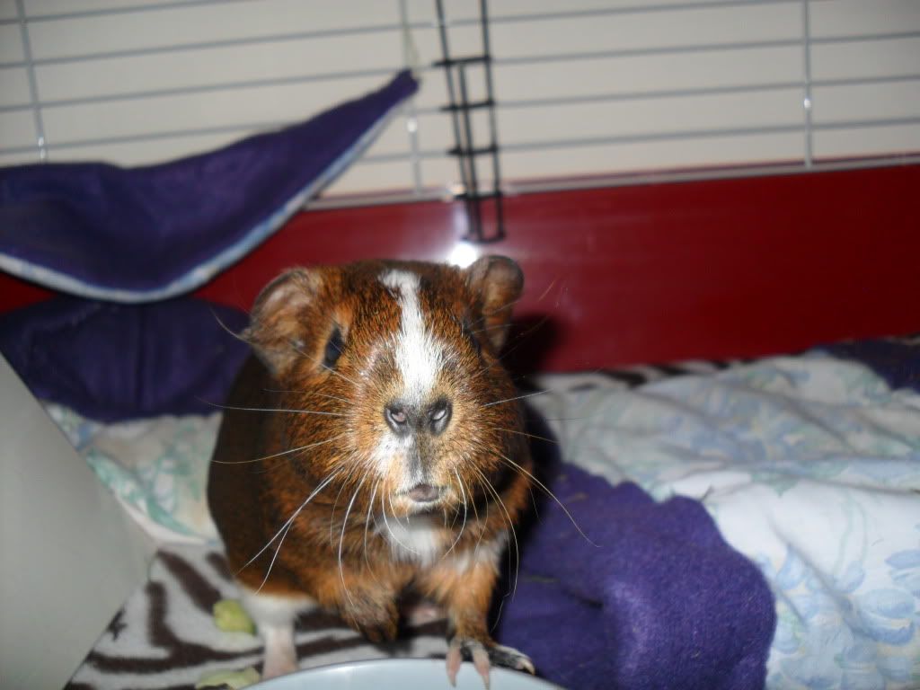 SAM_0097.jpg