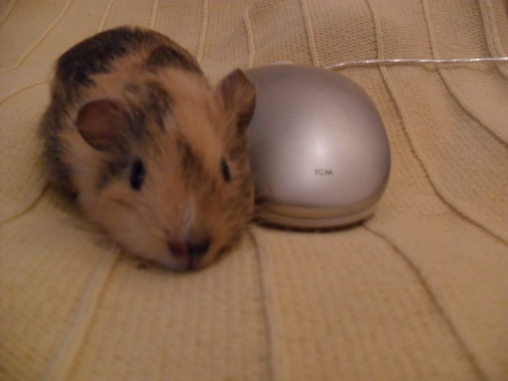 SAM_0144.jpg