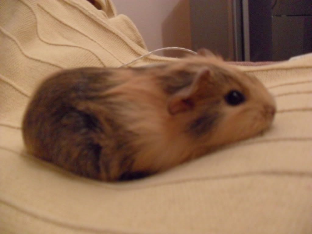 SAM_0146.jpg