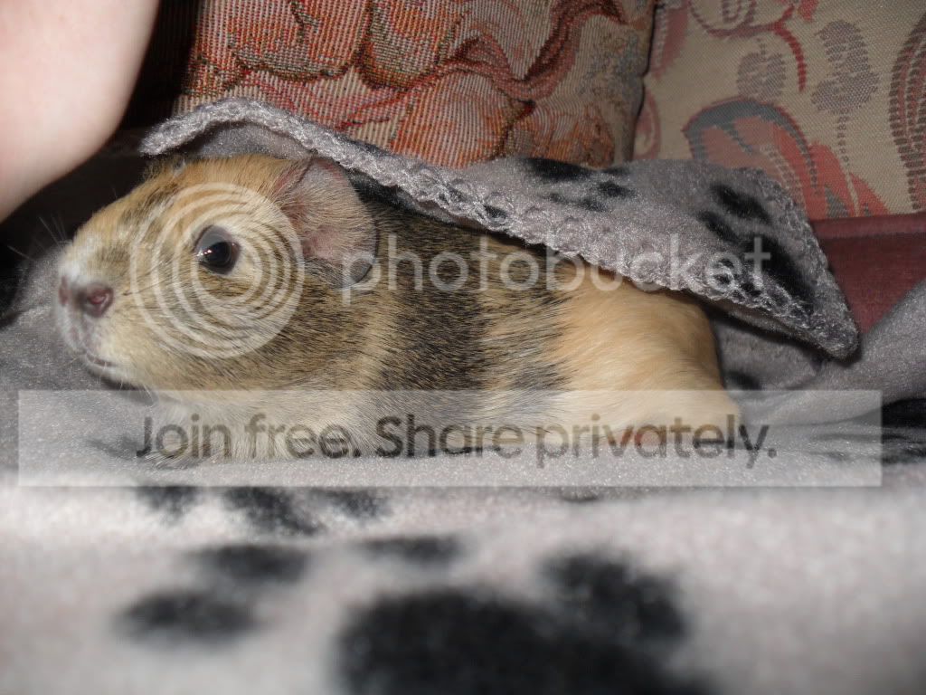 SAM_0248.jpg