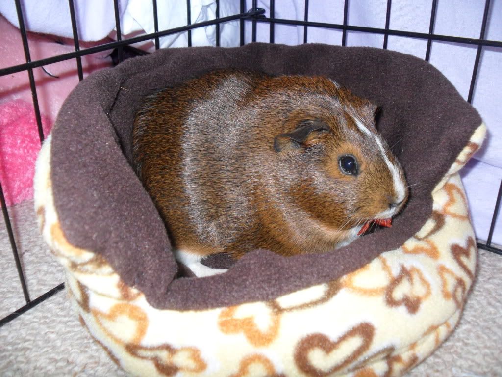 SAM_0300.jpg