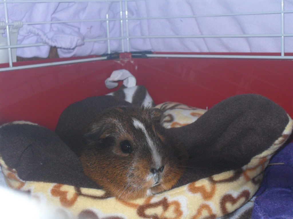 SAM_0378.jpg