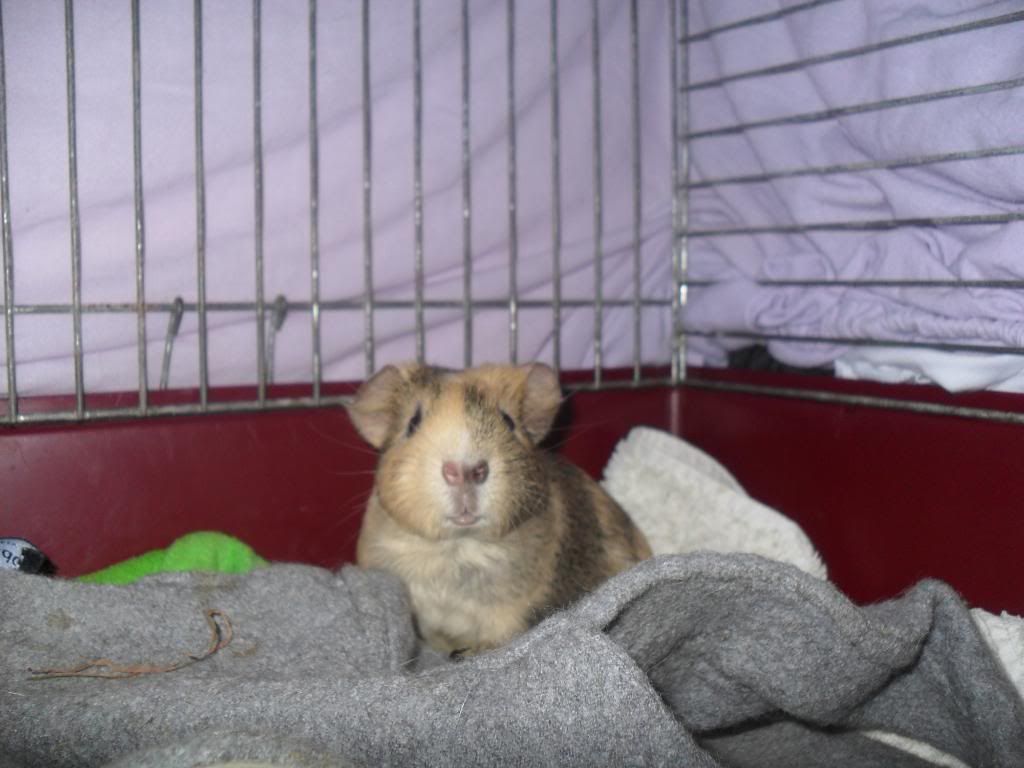SAM_0523.jpg
