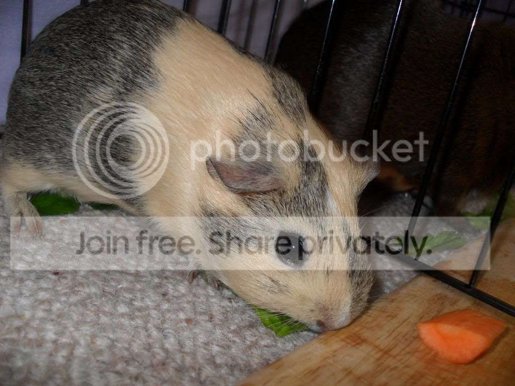 SAM_0617.jpg