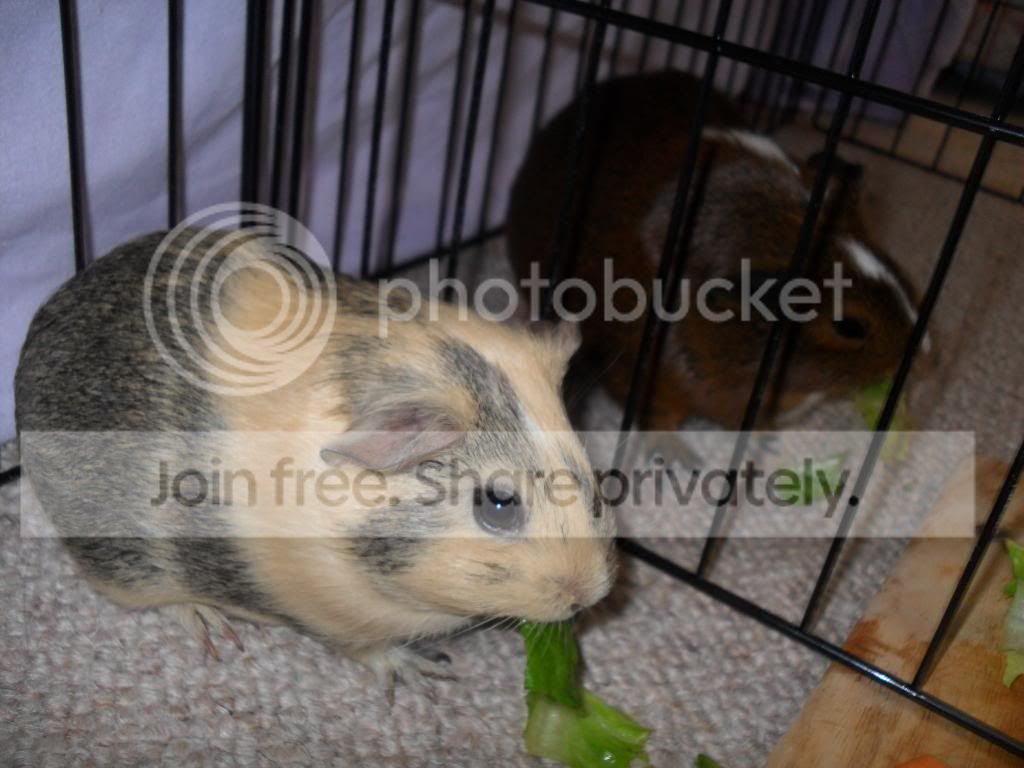 SAM_0623.jpg