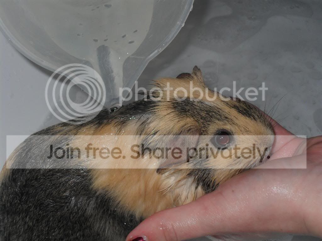 SAM_0659.jpg