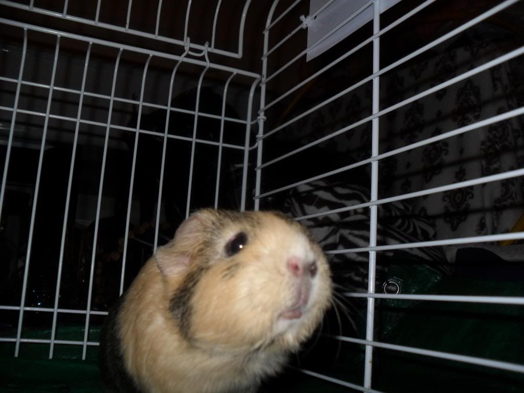 SAM_1199.jpg