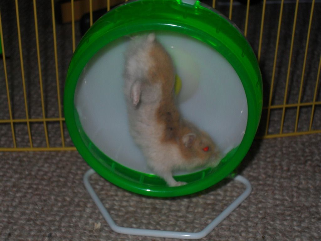 SAM_1389.jpg