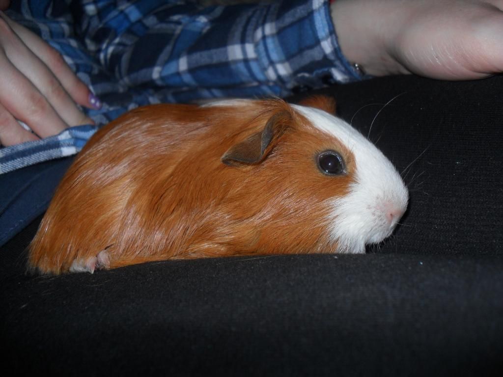 SAM_1405.jpg