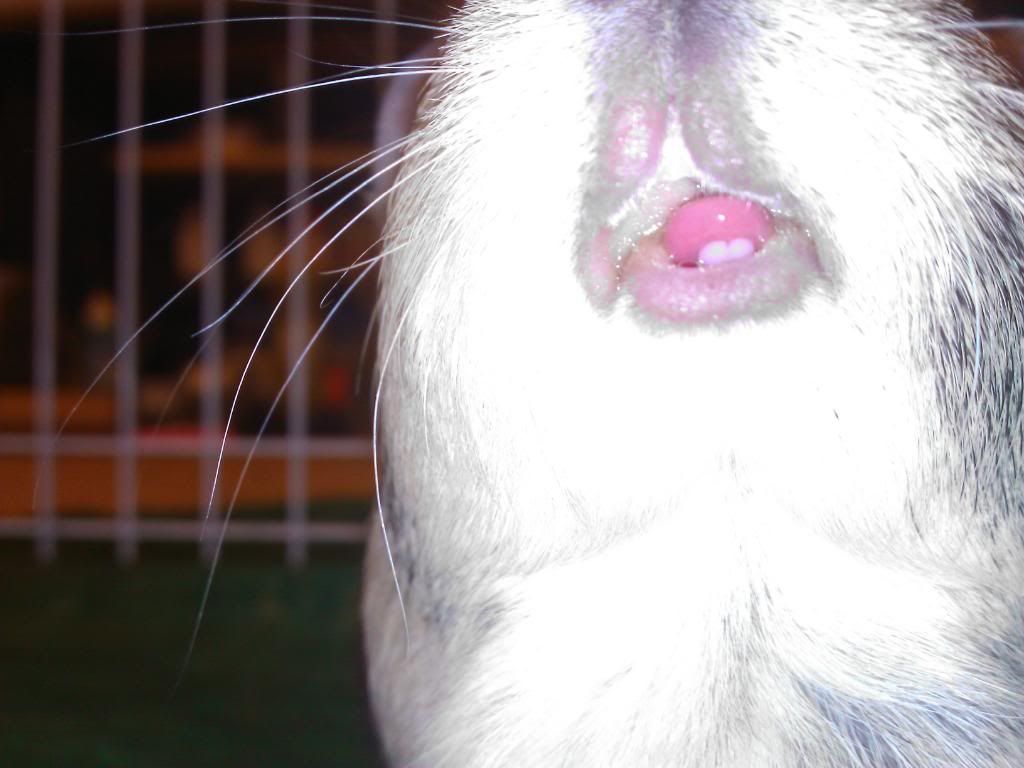 WP_000309.jpg