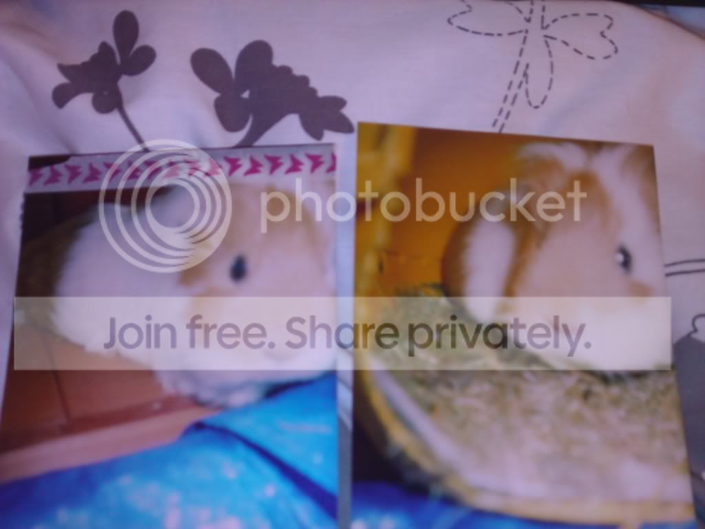 WP_000714.jpg