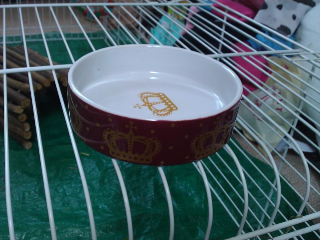 WP_000906.jpg